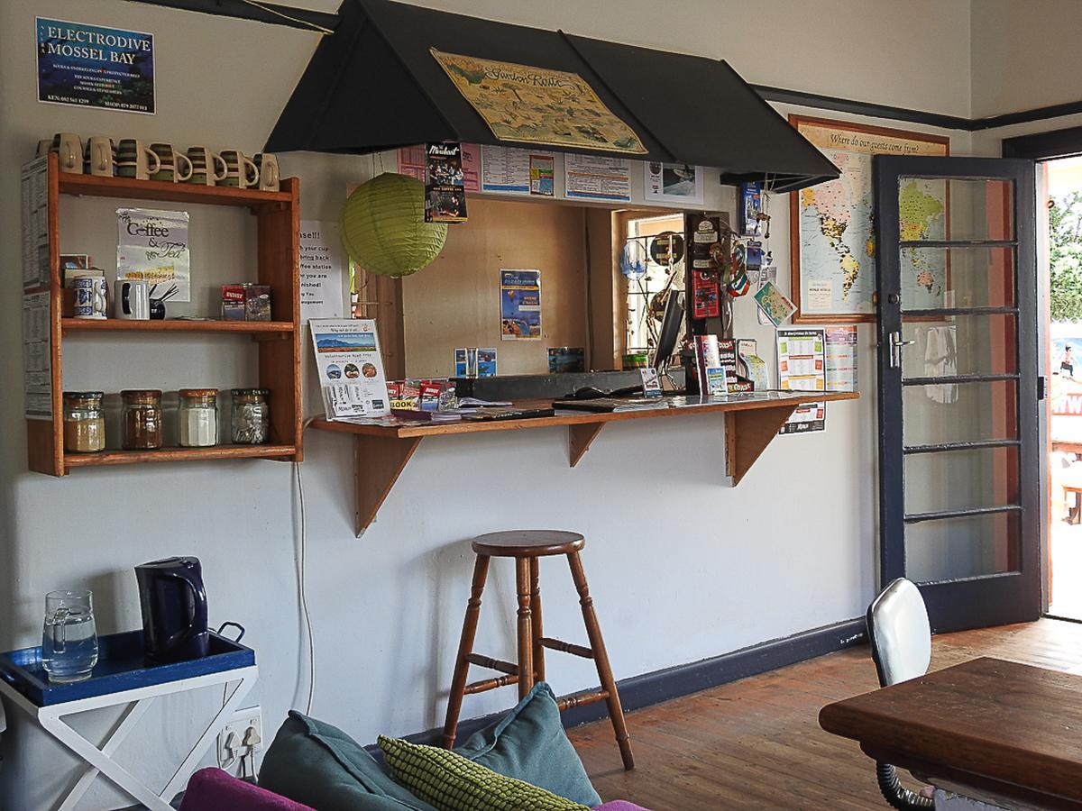 Mosselbay Backpackers Hostel มอสเซิลเบย์ ภายนอก รูปภาพ