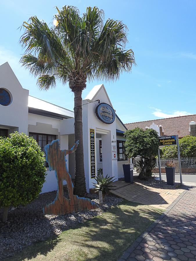 Mosselbay Backpackers Hostel มอสเซิลเบย์ ภายนอก รูปภาพ